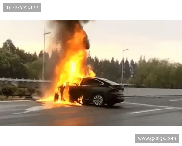 老雷退役后梦想开车却因无牌作罢 老雷退役后梦想开车却因无牌作罢